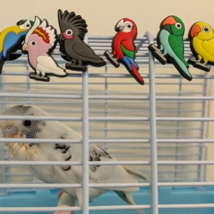 売切れ　バッジ(10種類セット 金具不使用)