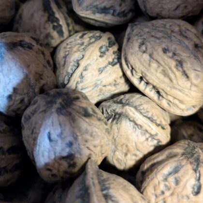 丸ごと殻付きクルミ(300g入)