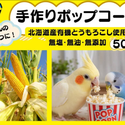 鳥さん用ポップコーン